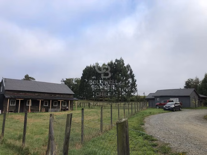 3,9 ha con acceso directo a Ruta Alerce–Puerto Varas