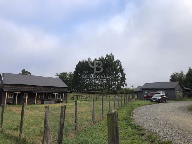 3,9 ha con acceso directo a Ruta Alerce–Puerto Varas