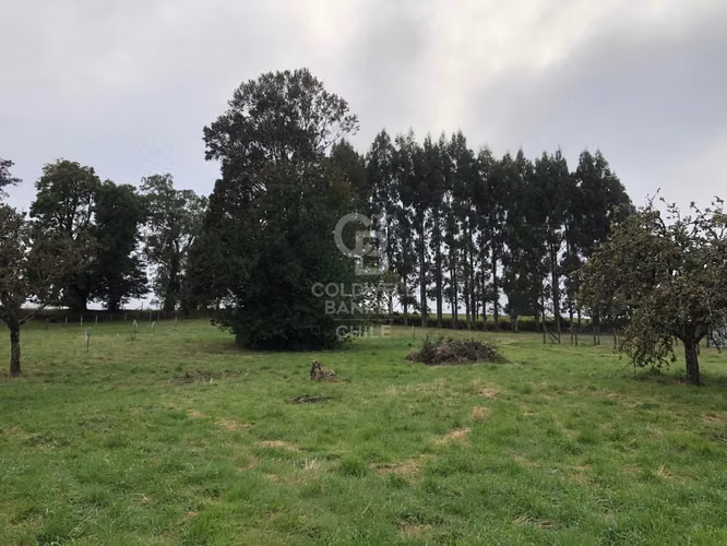 3,9 ha con acceso directo a Ruta Alerce–Puerto Varas