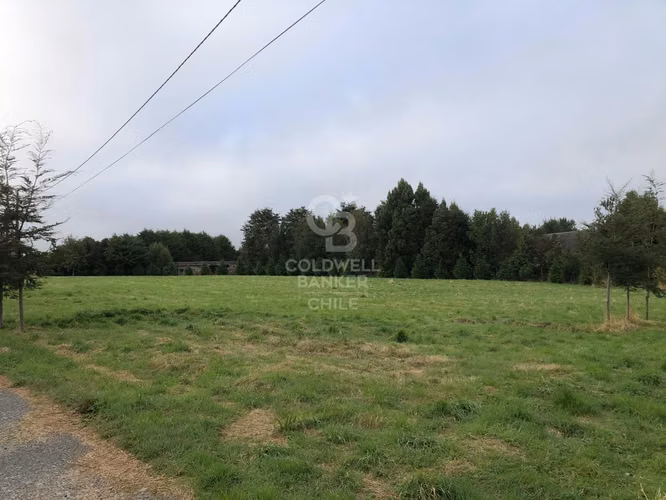 3,9 ha con acceso directo a Ruta Alerce–Puerto Varas