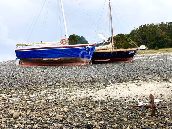 Parcela en Isla: Playa Privada y Bosques Milenarios