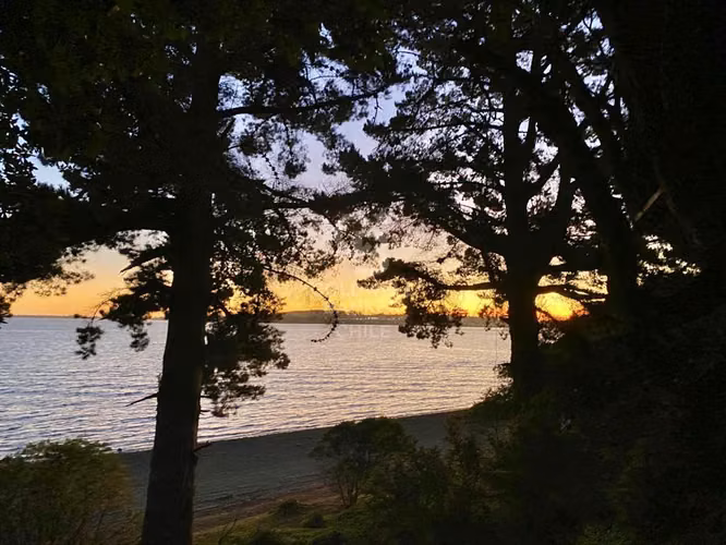 Parcela en Isla: Playa Privada y Bosques Milenarios