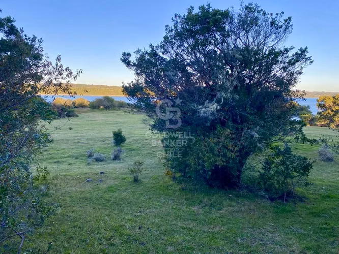Parcela en Isla: Playa Privada y Bosques Milenarios