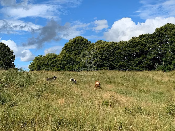 Campo en ruta Costera, Oportunidad de Inversión.
