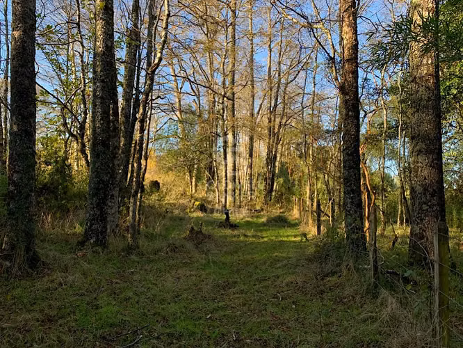 Campo en ruta Costera, Oportunidad de Inversión.