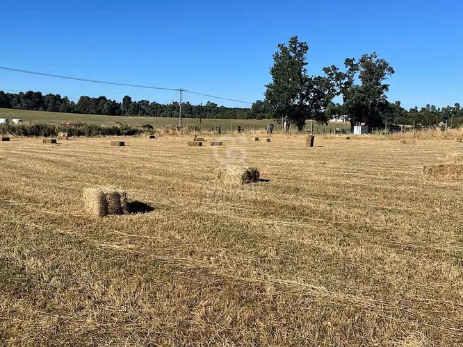 Campo en ruta Costera, Oportunidad de Inversión.