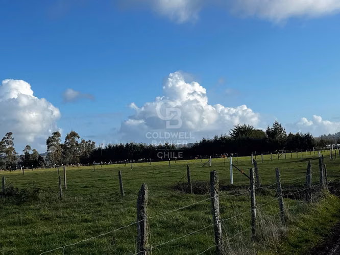 Parcelas exclusivas en Frutillar con acceso al lago.