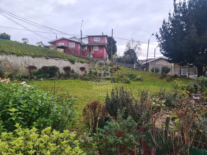 Oportunidad Comercial cerca de Avenida Presidente Ibañez