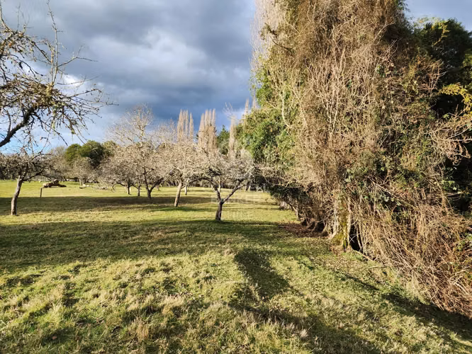 Cabaña con bosque nativo y acceso a río I Puerto Varas