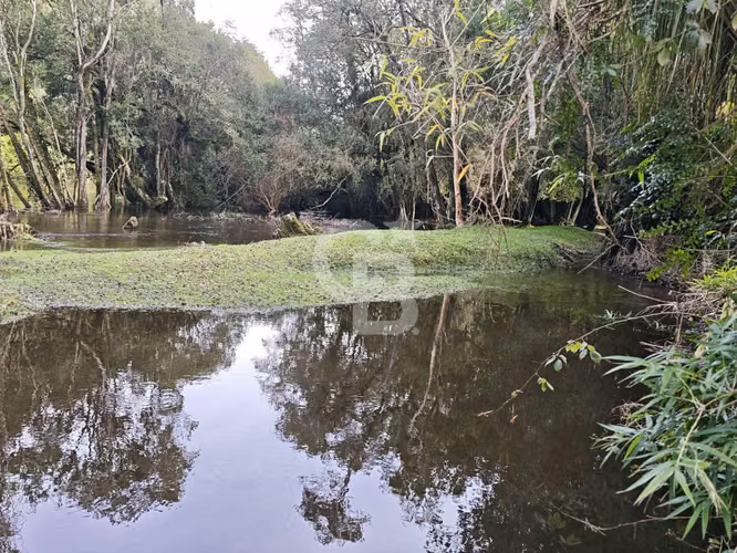 Cabaña con bosque nativo y acceso a río I Puerto Varas