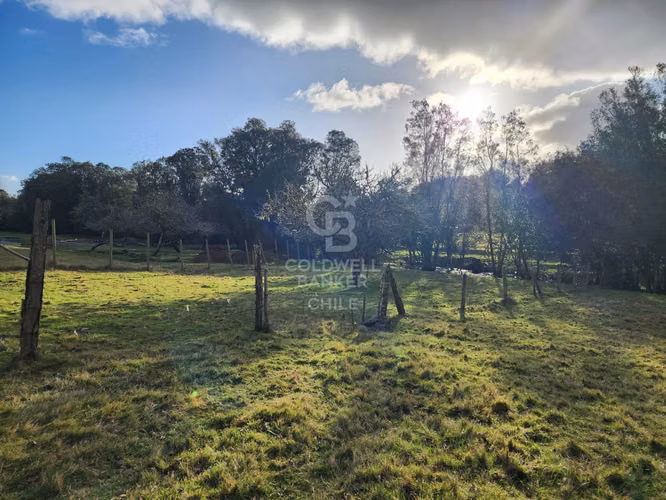 Cabaña con bosque nativo y acceso a río I Puerto Varas
