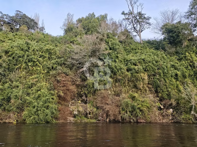 Cabaña con bosque nativo y acceso a río I Puerto Varas