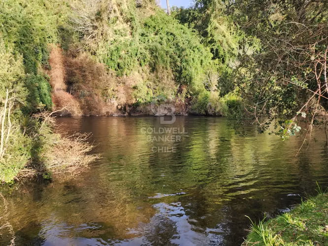 Cabaña con bosque nativo y acceso a río I Puerto Varas