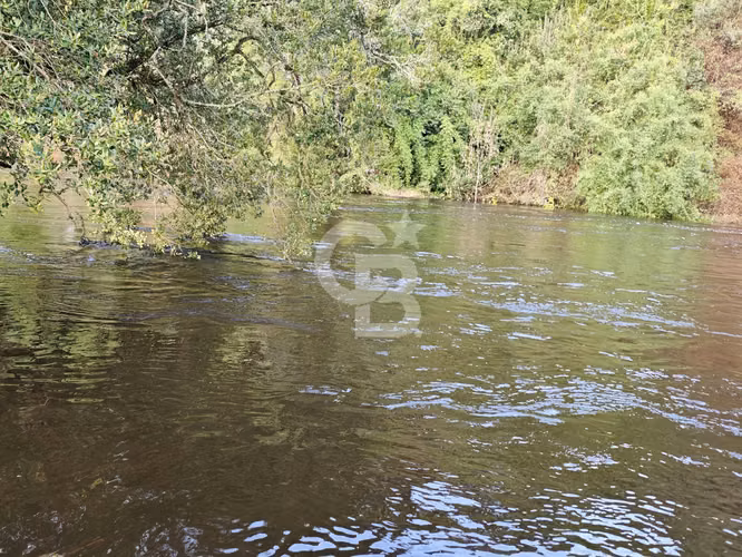 Cabaña con bosque nativo y acceso a río I Puerto Varas