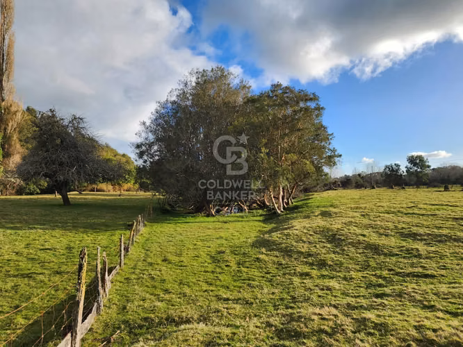 Cabaña con bosque nativo y acceso a río I Puerto Varas