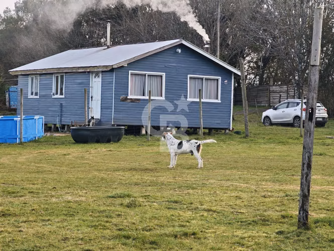 Cabaña con bosque nativo y acceso a río I Puerto Varas