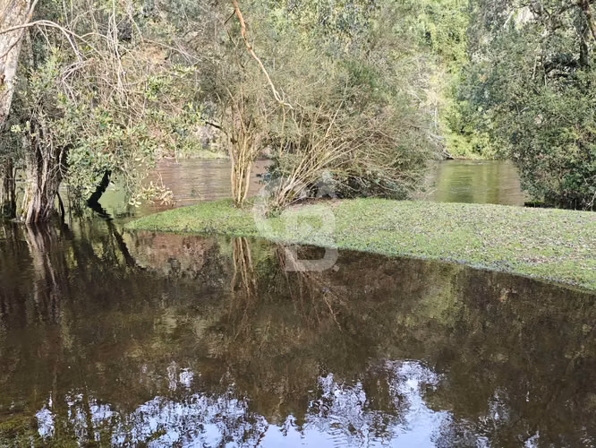 Cabaña con bosque nativo y acceso a río I Puerto Varas