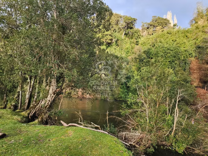 Cabaña con bosque nativo y acceso a río I Puerto Varas