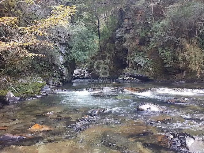Espectacular Campo en Coyhaique a orillas del Rio Viviana.
