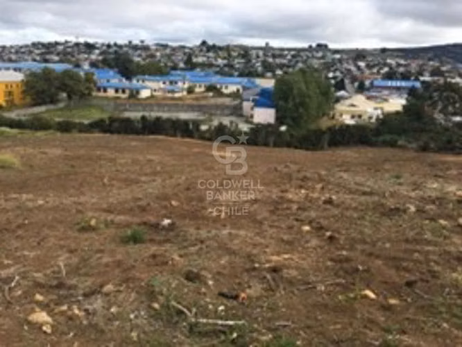 Paño 4,67 hectáreas en venta en Ancud