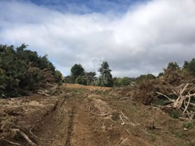 Paño 4,67 hectáreas en venta en Ancud