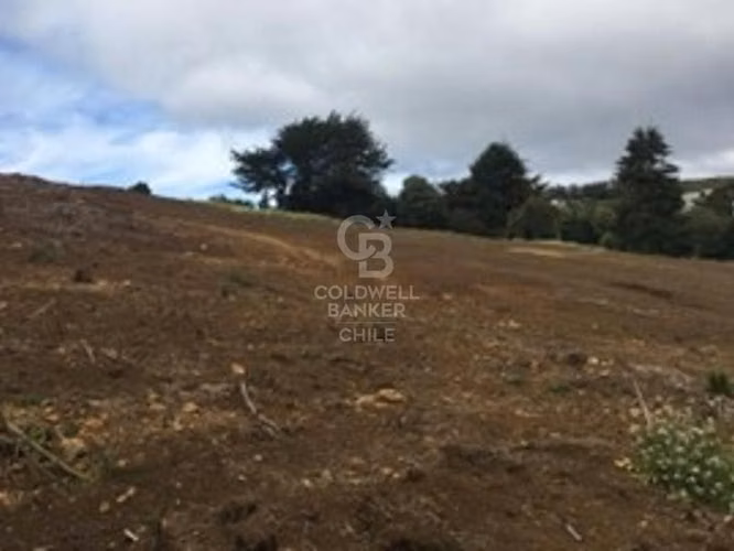 Paño 4,67 hectáreas en venta en Ancud