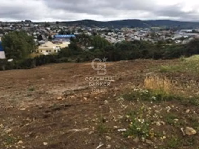 Paño 4,67 hectáreas en venta en Ancud