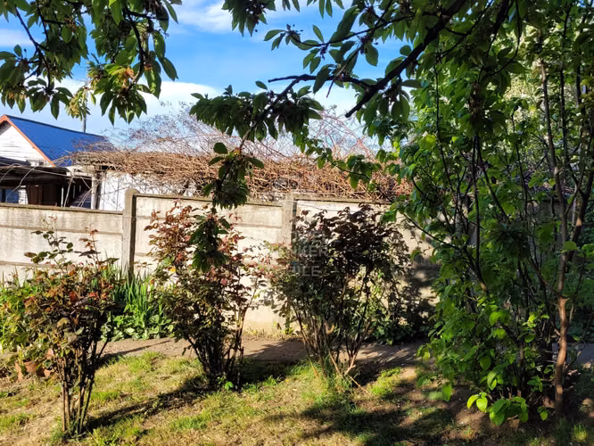 Casa de madera noble en Ovejería Bajo, ideal comercial