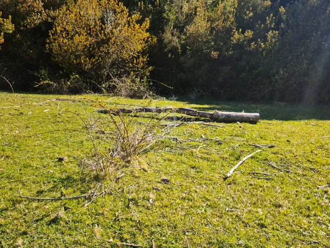 Lindísimo campo de 35 hectáreas al lado del rio Llico