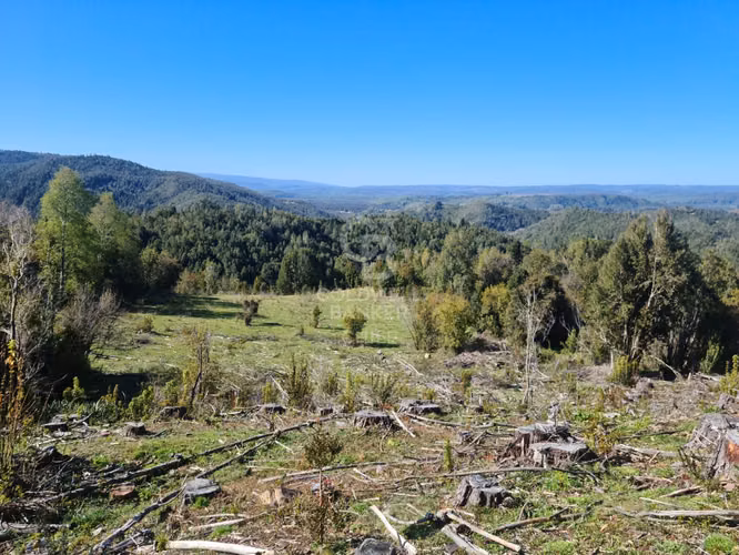 Lindísimo campo de 35 hectáreas al lado del rio Llico
