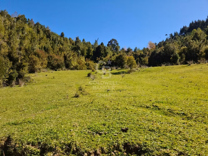 Lindísimo campo de 35 hectáreas al lado del rio Llico