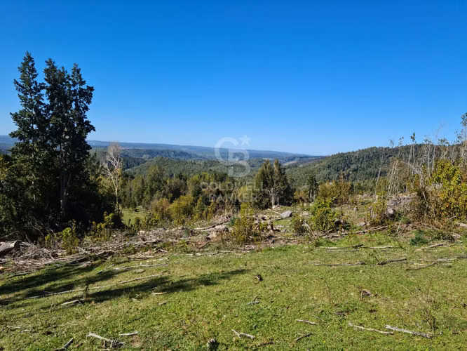 Lindísimo campo de 35 hectáreas al lado del rio Llico