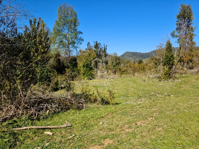 Lindísimo campo de 35 hectáreas al lado del rio Llico