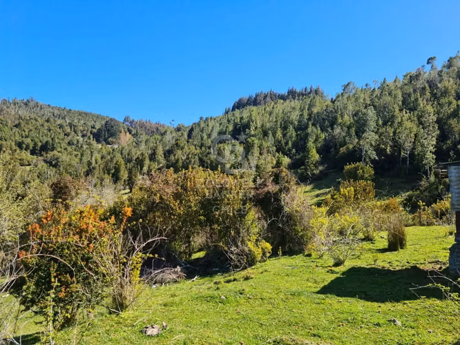 Lindísimo campo de 35 hectáreas al lado del rio Llico