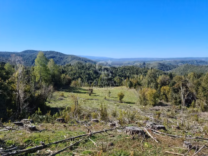 Lindísimo campo de 35 hectáreas al lado del rio Llico