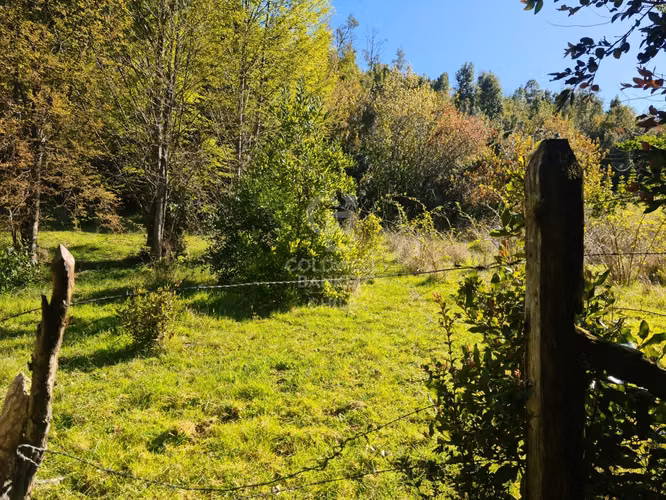 Lindísimo campo de 35 hectáreas al lado del rio Llico