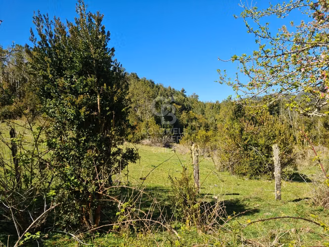 Lindísimo campo de 35 hectáreas al lado del rio Llico