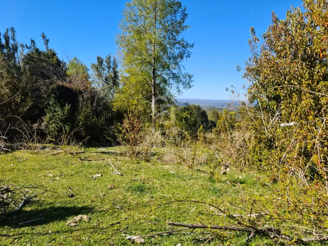 Lindísimo campo de 35 hectáreas al lado del rio Llico
