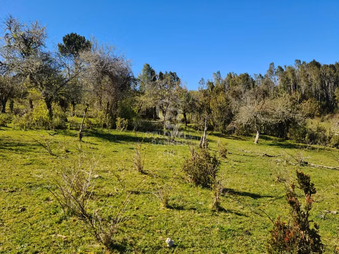 Lindísimo campo de 35 hectáreas al lado del rio Llico