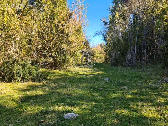 Lindísimo campo de 35 hectáreas al lado del rio Llico