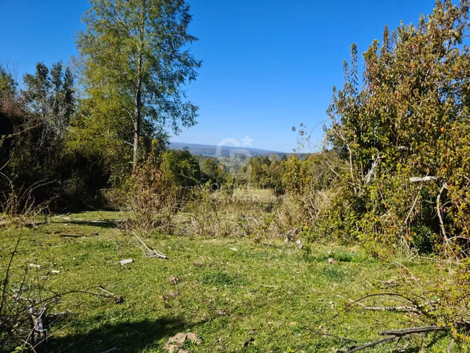 Lindísimo campo de 35 hectáreas al lado del rio Llico