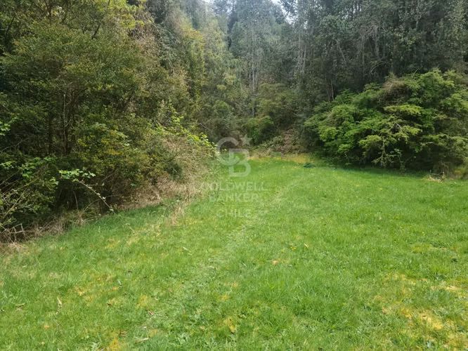 Oportunidad! Parcela con frutales, vista Volcán y riachuelo