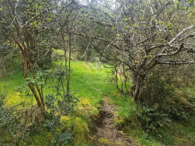 Oportunidad! Parcela con frutales, vista Volcán y riachuelo