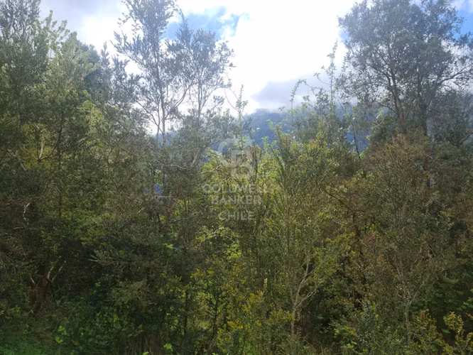 Oportunidad! Parcela con frutales, vista Volcán y riachuelo