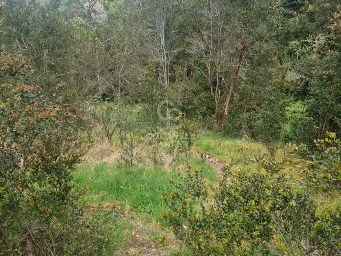 Oportunidad! Parcela con frutales, vista Volcán y riachuelo