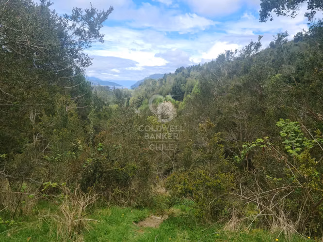 Oportunidad! Parcela con frutales, vista Volcán y riachuelo