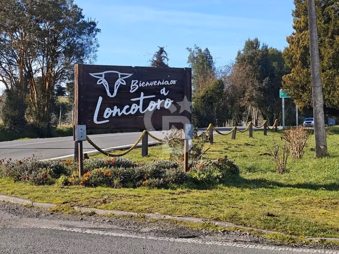 Parcela orilla de camino loncotoro 1 Hectarea
