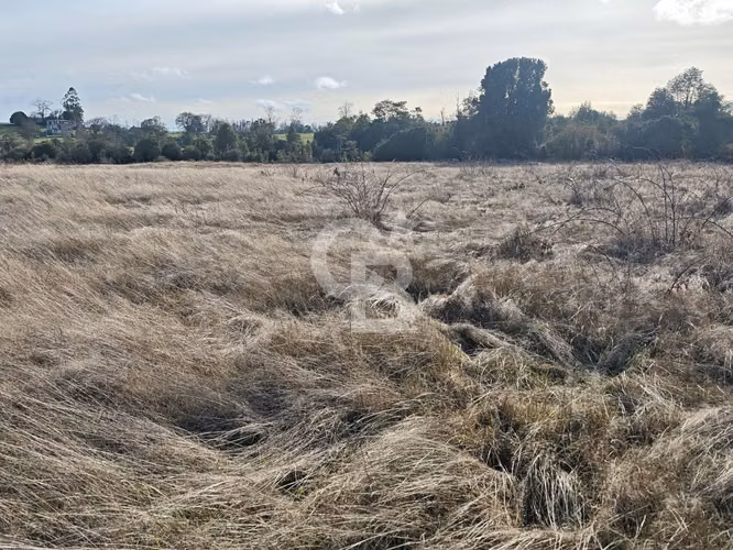 Parcela orilla de camino loncotoro 1 Hectarea
