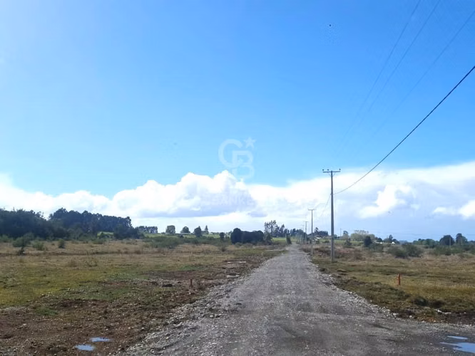 Parcela plana con vista a los Volcanes. Sector Las Quemas