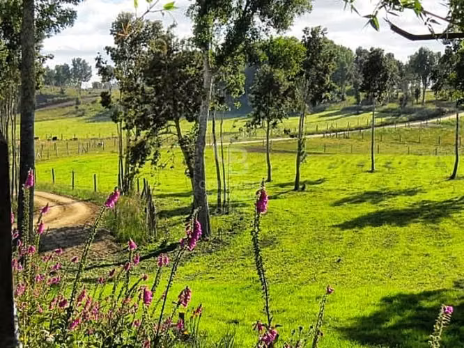 Hermosas parcelas en Llanquihue!-facilidades de pago